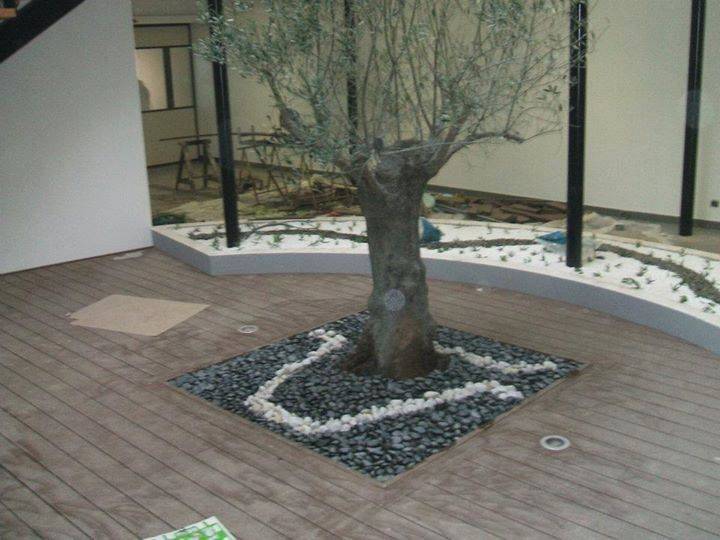 1 (10).jpg