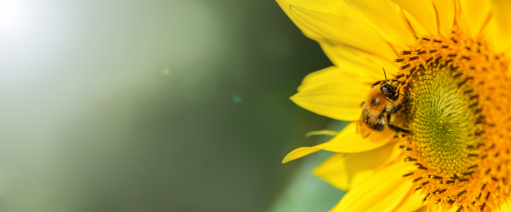 AdobeStock_303052387.png